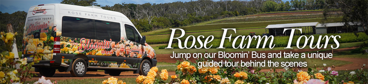 Rose Farm Tours